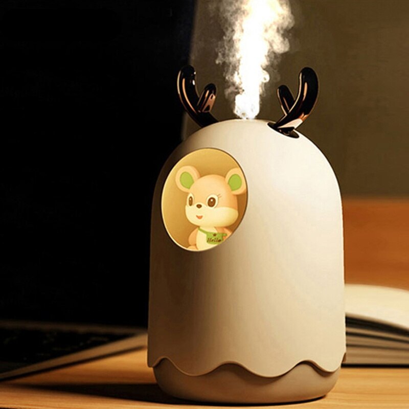 Cute Silent Humidifier with USB Charging